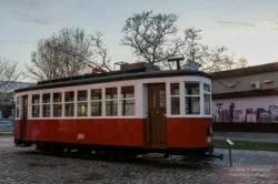 В День города в Волгограде открылась фотовыставка «Трамваи и троллейбусы Царицына–Сталинграда–Волгограда»