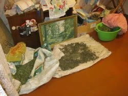 Почти четыре килограмма марихуаны изъяли наркополицейские в ходе проведения оперативно-розыскных мероприятий