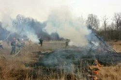 Погибший, найденный под Михайловкой, пытался спасти хутор от огня