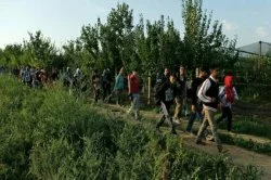 В Хорватию за три дня приехали 17 тысяч мигрантов