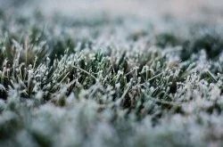 К концу недели в Краснодарском крае прогнозируются первые заморозки