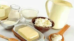 В Адыгее забраковали более 70 партий некачественной молочной продукции