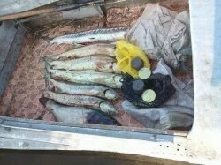 В Калмыкии задержали пятерых браконьеров из Лагани